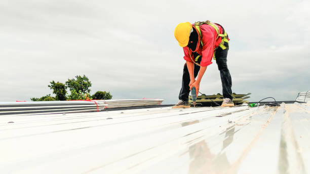 Best Roof Maintenance and Cleaning  in Veneta, OR